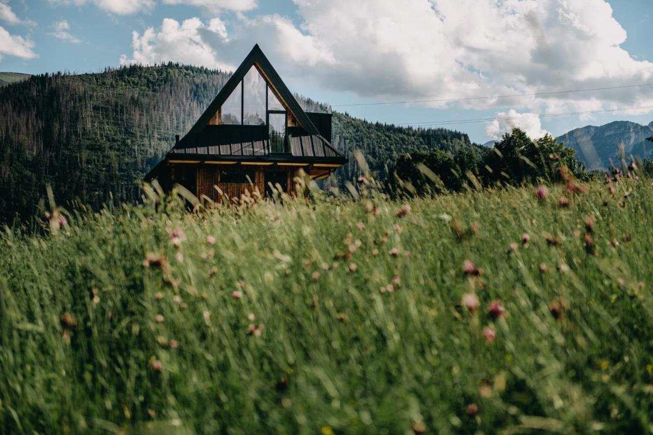 Sywarne Chalet Kościelisko Dış mekan fotoğraf